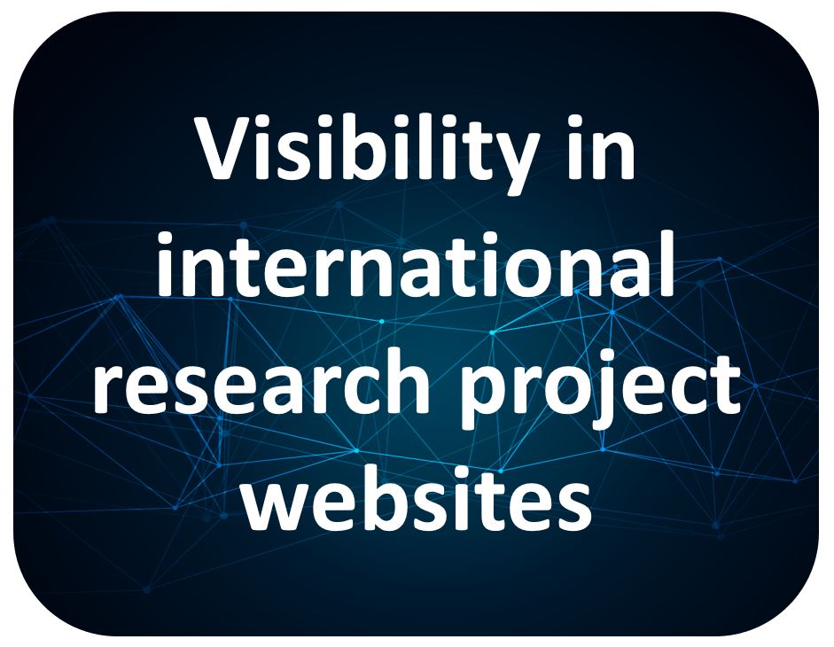 Button. Visibility in international project websites.